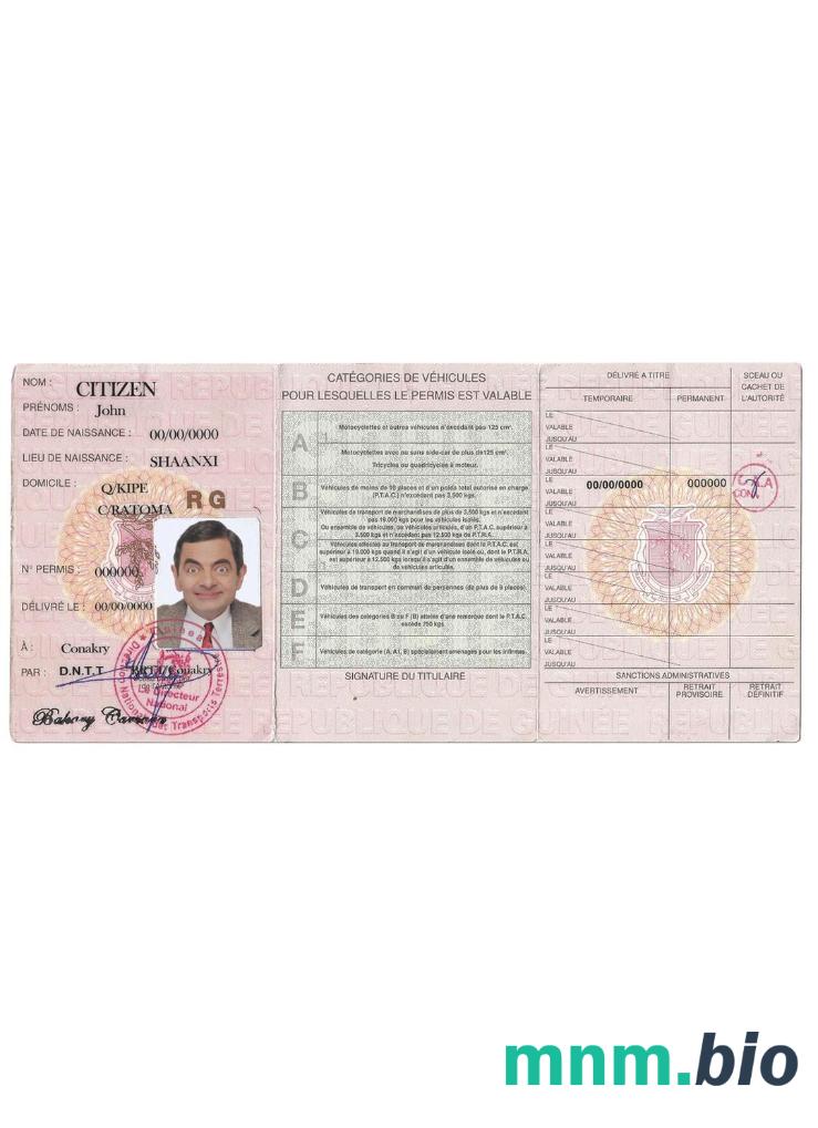 Szablon prawa jazdy Gwinea w formacie PSD, ze wszystkimi czcionkami